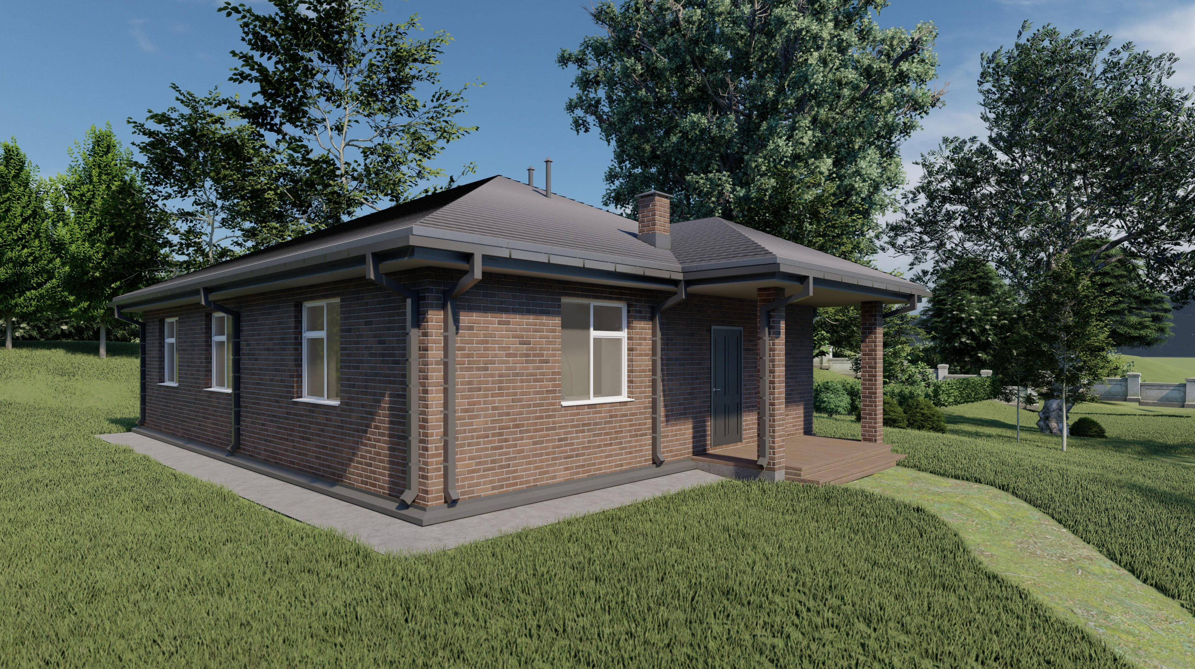 Orchid Casel de Paradise.